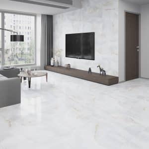 Onyx Silver 600x600 Rectified (V3- Shade & Pattern Variations within a Batch)